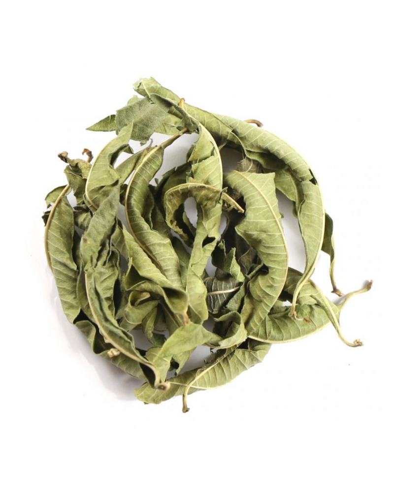 Organic Lebanese Verbena