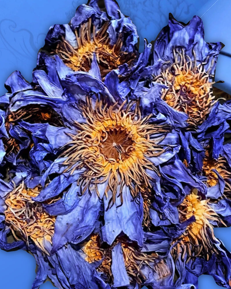 Blue Lotus Tea
