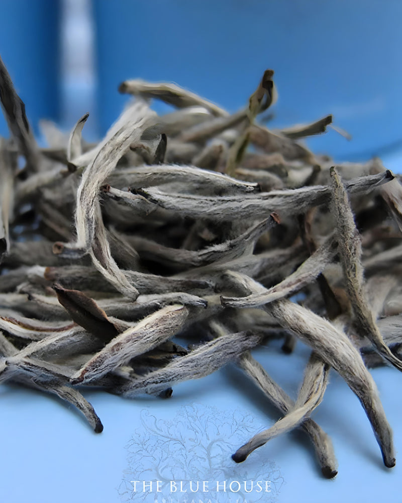 Silver Needle White Tea