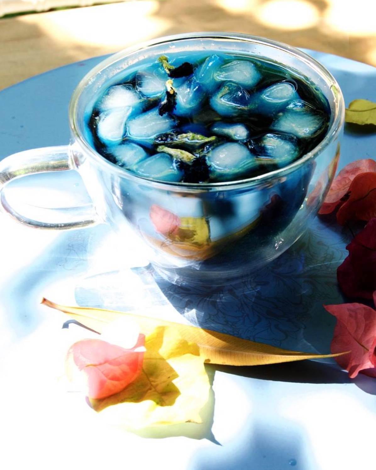 The Disco Detox - 20 Days - THE BLUE HOUSE