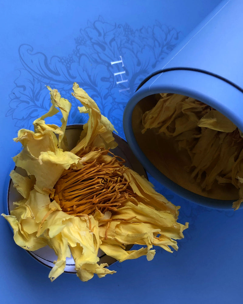 Lotus Ethereal Flower